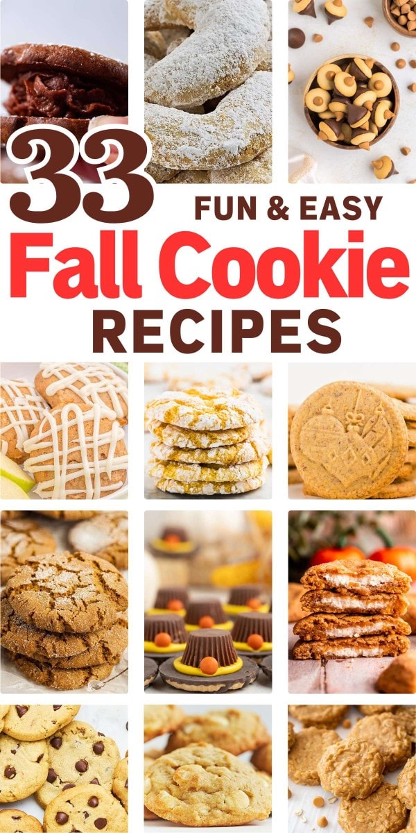 33 Easy Fall Cookies That Will Impress Your Friends and Family.