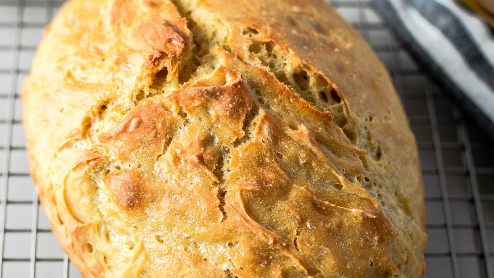 No Knead Einkorn Bread recipe by Fit Mama Real Food