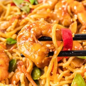 Closeup of Shrimp Lo Mein with chopsticks.