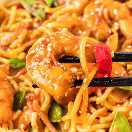 Closeup of Shrimp Lo Mein with chopsticks.