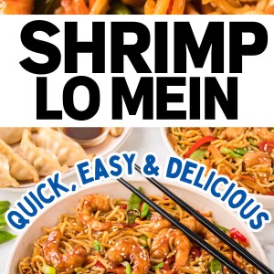 Easy Homemade Shrimp Lo Mein Recipe (30-Minute Dinner).