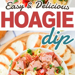 Easy and delicious hoagie dip.