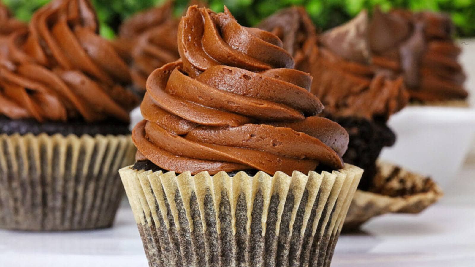 Chocolate cupcakes topped with chocolate frosting.