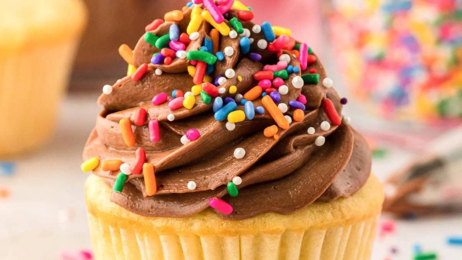 A cupcake topped with chocolate frosting and sprinkles.