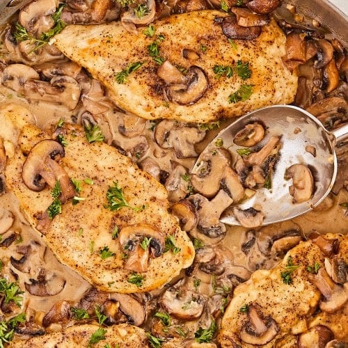 Chicken in mushroom sauce in a pan with a spoon.