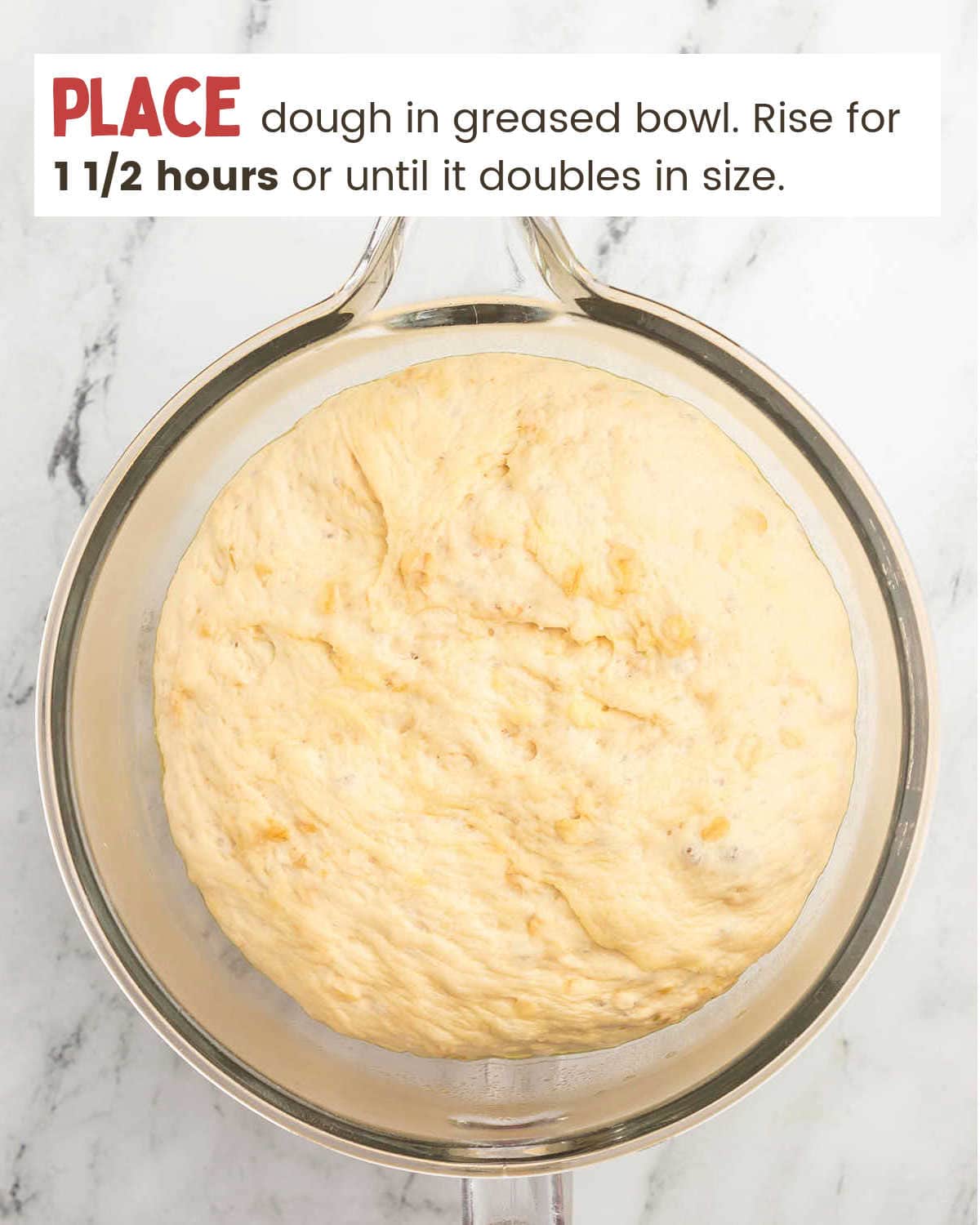 Oatmeal Dinner Rolls dough doubled in size