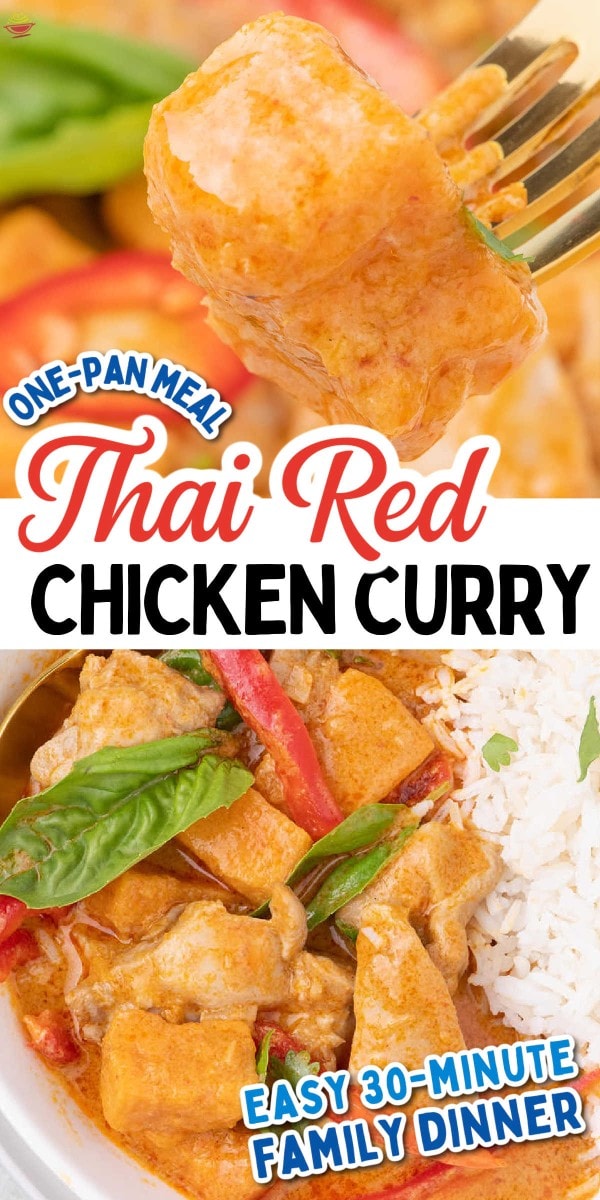 A close up of Thai red curry chicken.