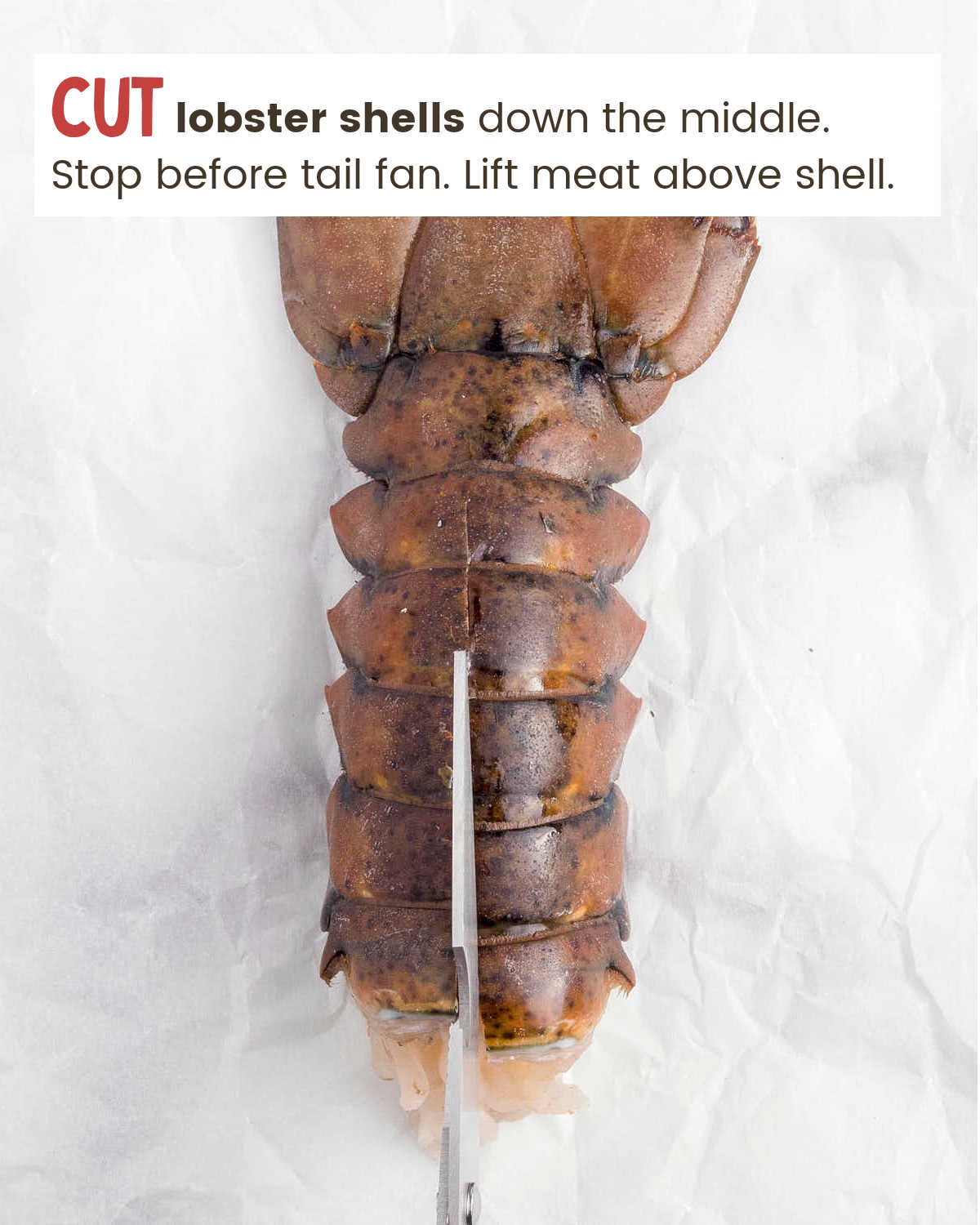 Cutting shell for Air Fryer Lobster Tails with scissors.