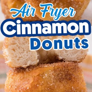 Air Fryer Cinnamon Donuts recipe by Cheerful Cook.