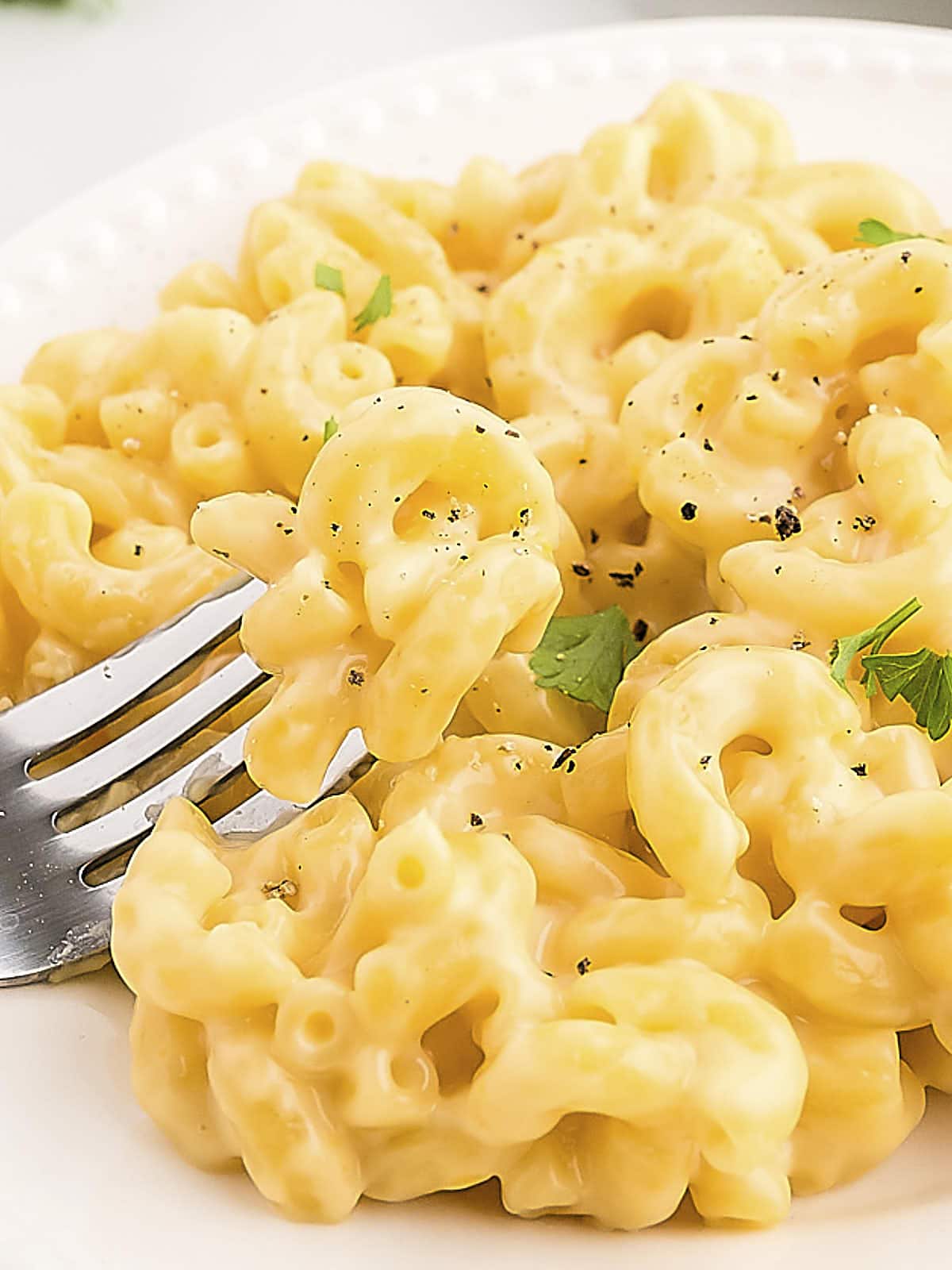 Gouda Mac and Cheese recipe by Cheerful Cook.
