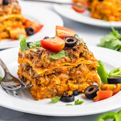 Beef Enchilada served on a white plate.