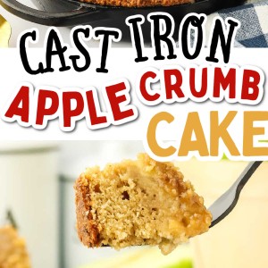 Cast Iron Apple Crumb Cake recipe by Cheerful Cook.