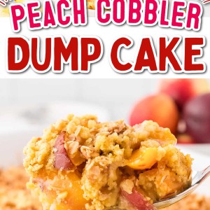Peach Cobbler Dump Cake recipe by Cheerful Cook.