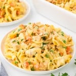A plate of a Chicken Noodle Casserole on a white plate.