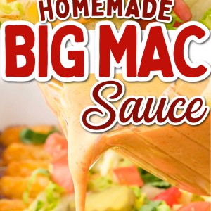 Homemade Big Mac Sauce recipe by Cheerful Cook.