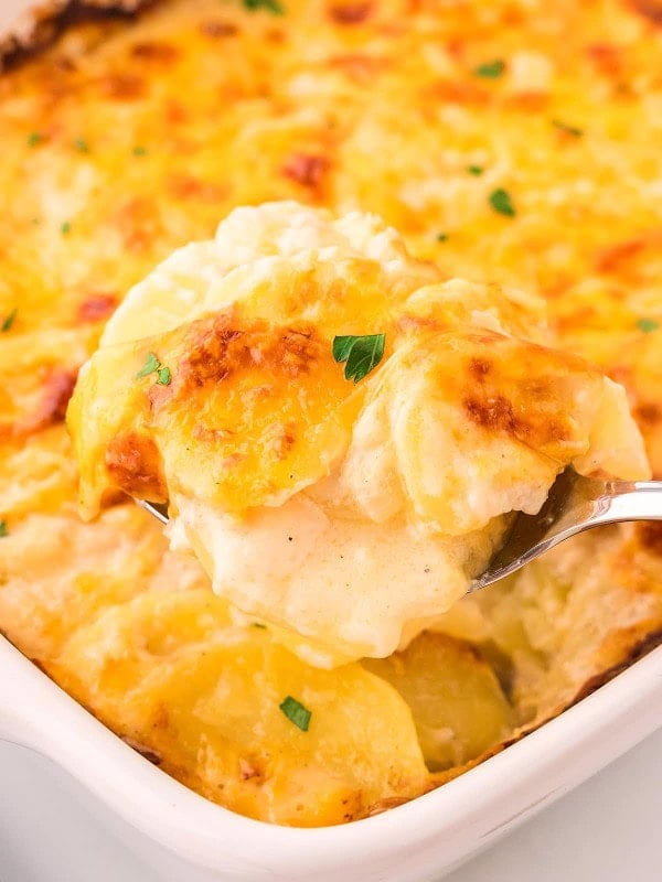A serving spoon full of freshly baked Scalloped Potatoes taken from a casserole dish.