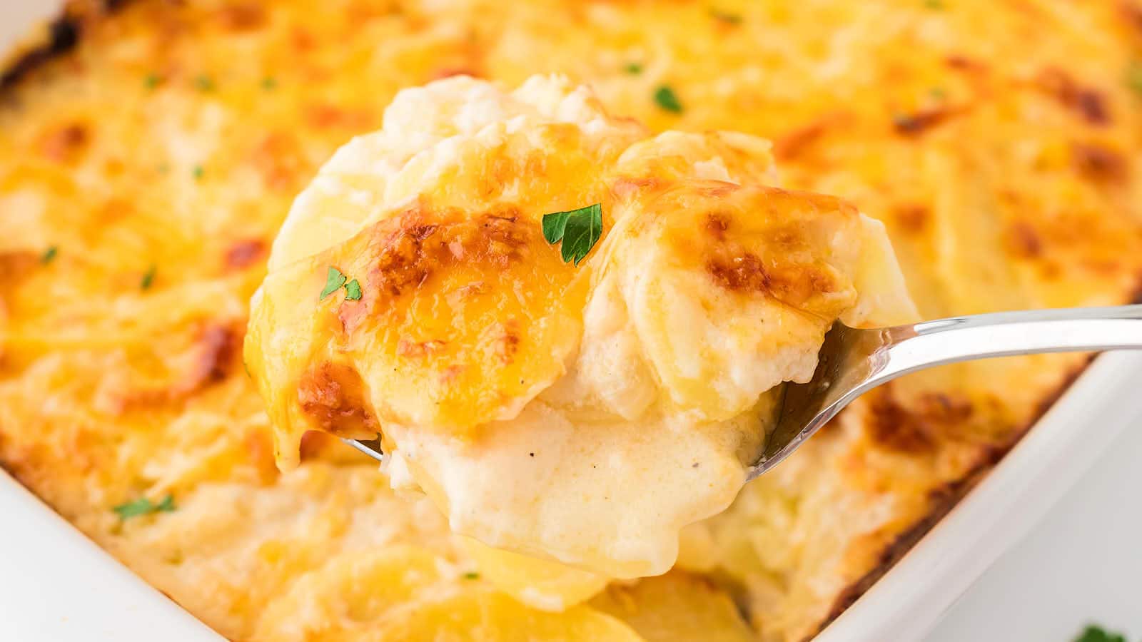 Scalloped Potatoes recipe by Cheerful Cook.