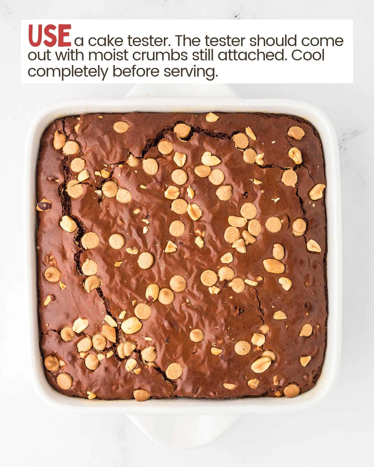 Baked Chocolate peanut butter brownies in a dish.