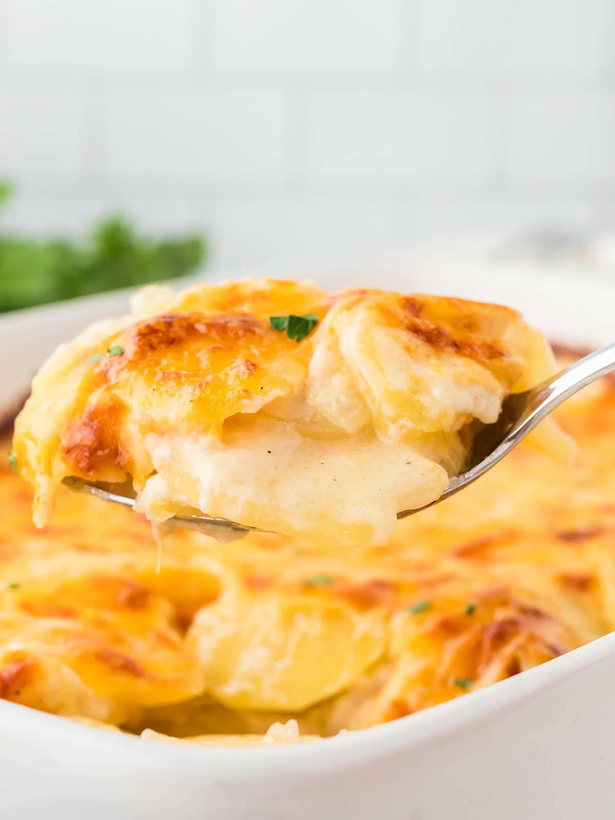 A serving spoon removing a Scalloped Potatoes from the casserole dish.