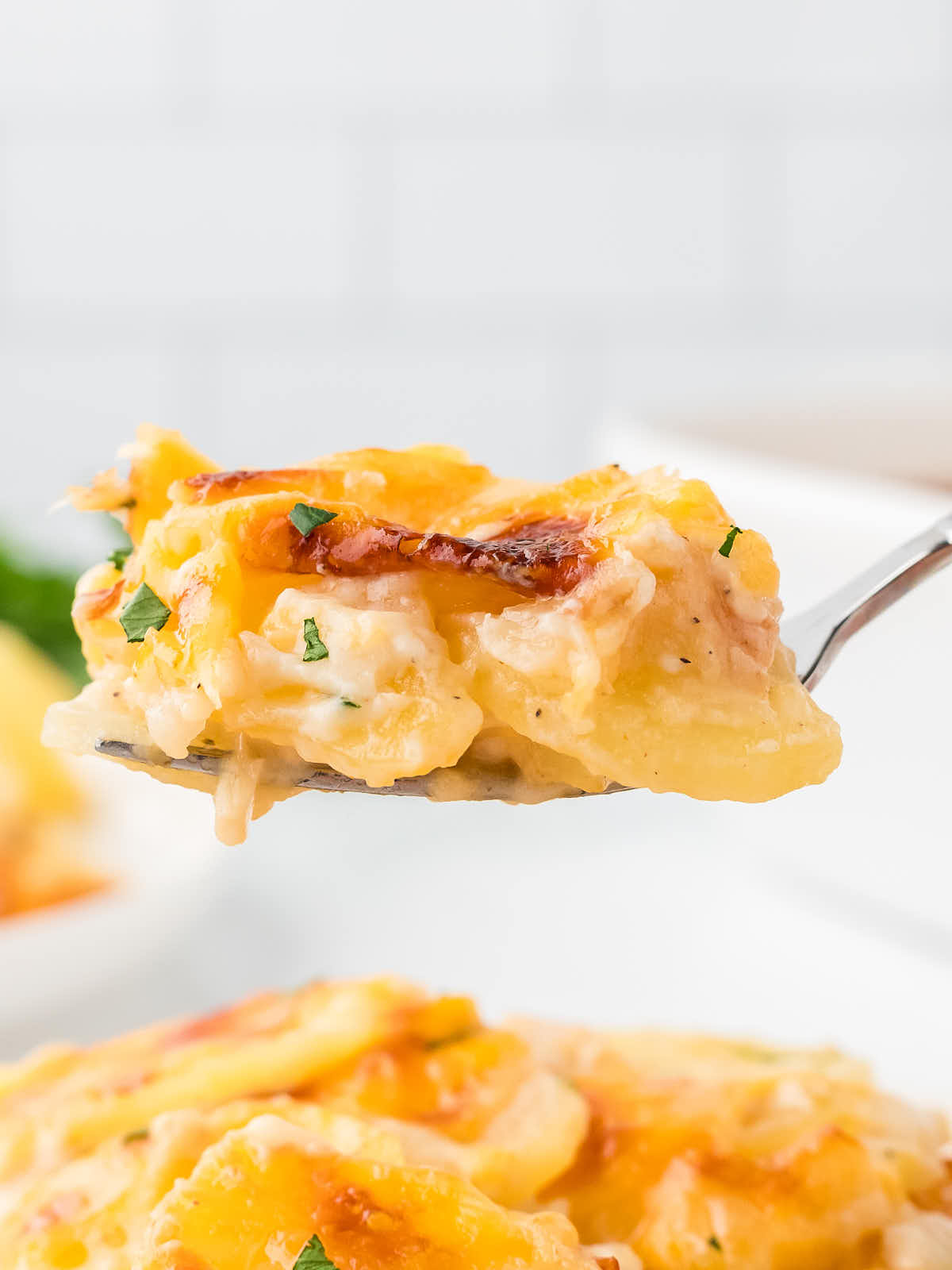 Closeup of a serving spoon filled with Scalloped Potatoes.