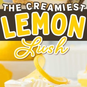 Lemon Lush recipe by Cheerful Cook.