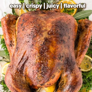 Thanksgiving Turkey recipe by Cheerful Cook.