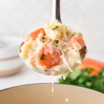 Closeup of a ladle filled with freshly cooked Chicken Tortellini Soup.