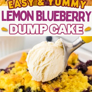 Lemon Blueberry Dump Cake recipe by Cheerful Cook.