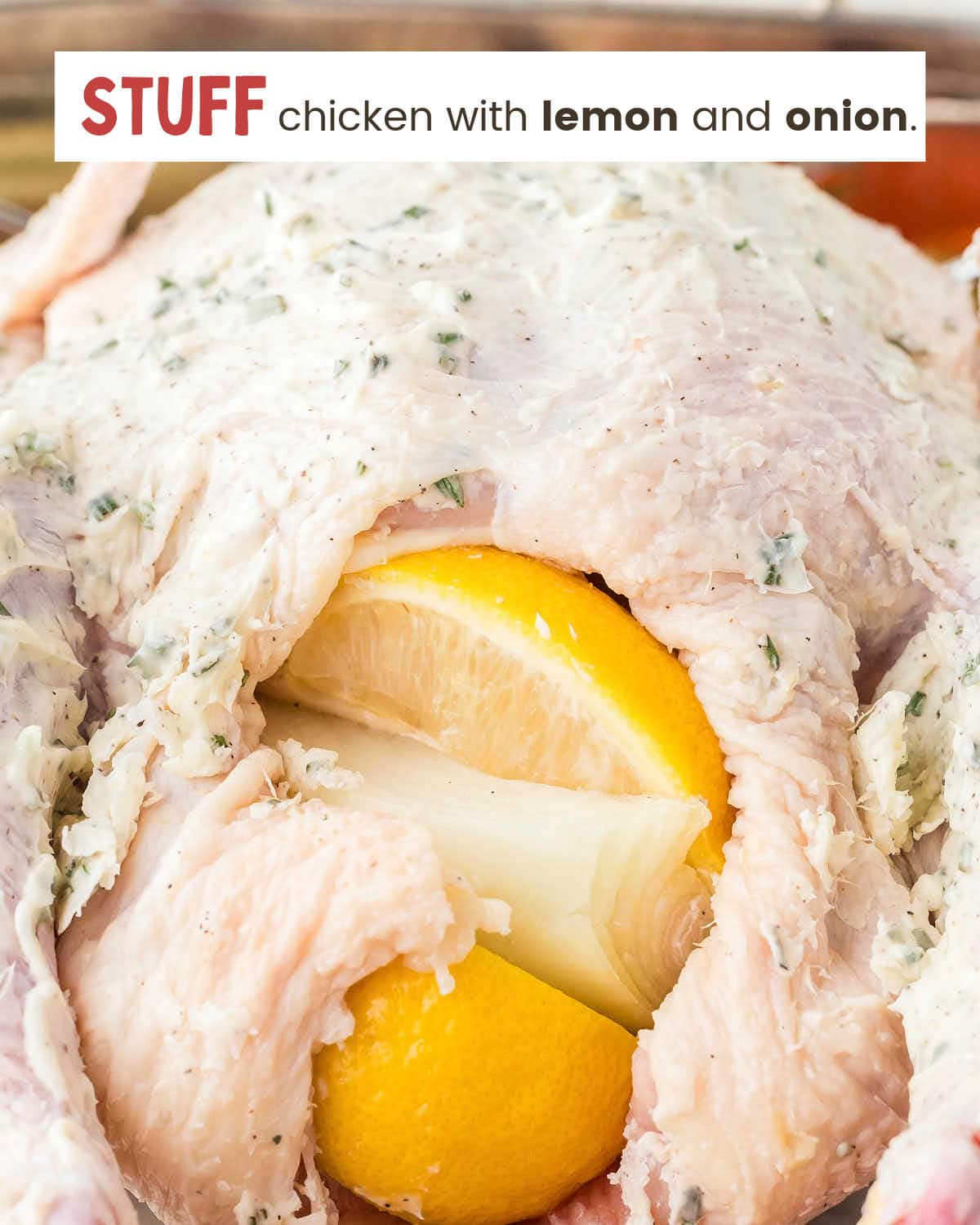 Close up for a raw chicken covered with herbed butter, stuffed with lemon quarters and an onion.