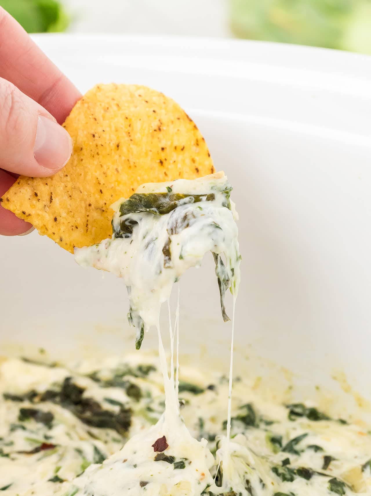 A tortilla chip dipped into Slow Cooker Spinach Artichoke Dip.