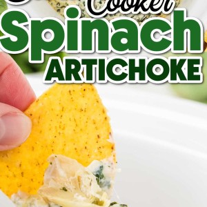 Slow Cooker Spinach Artichoke Dip recipe by Cheerful Cook.