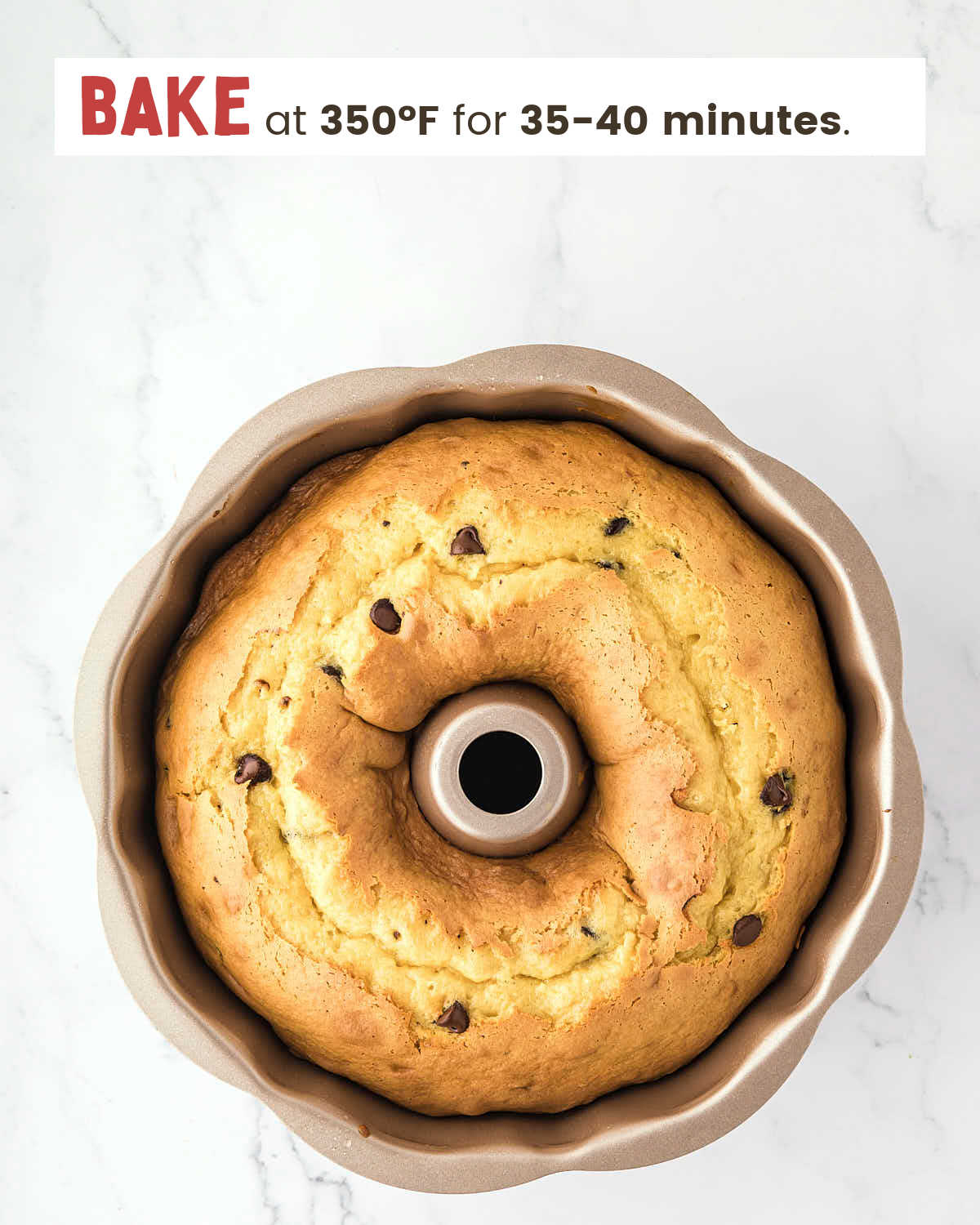 Chocolate chip cake in a Bundt pan.