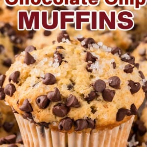 Chocolate Chip Muffins recipe by Cheerful Cook.
