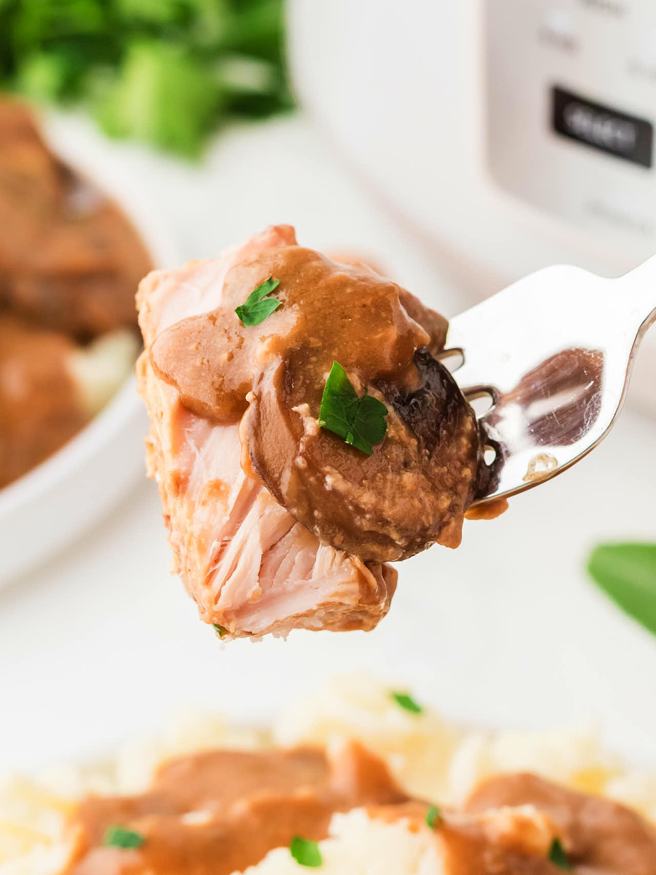 A spoonful of Pork Chops.