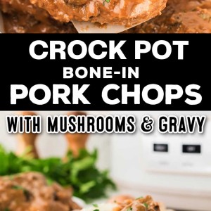 Crockpot Pork Chops recipe by Cheerful Cook.