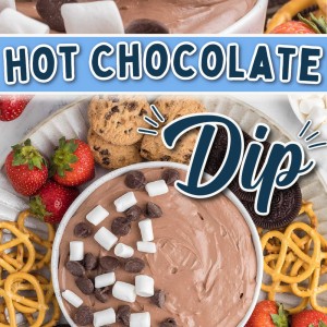 Hot Chocolate Dip recipe by Cheerful Cook.