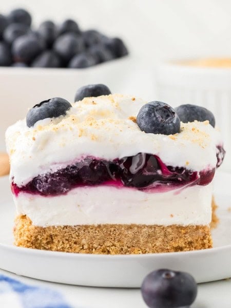 Blueberry Delight served on a white plate.
