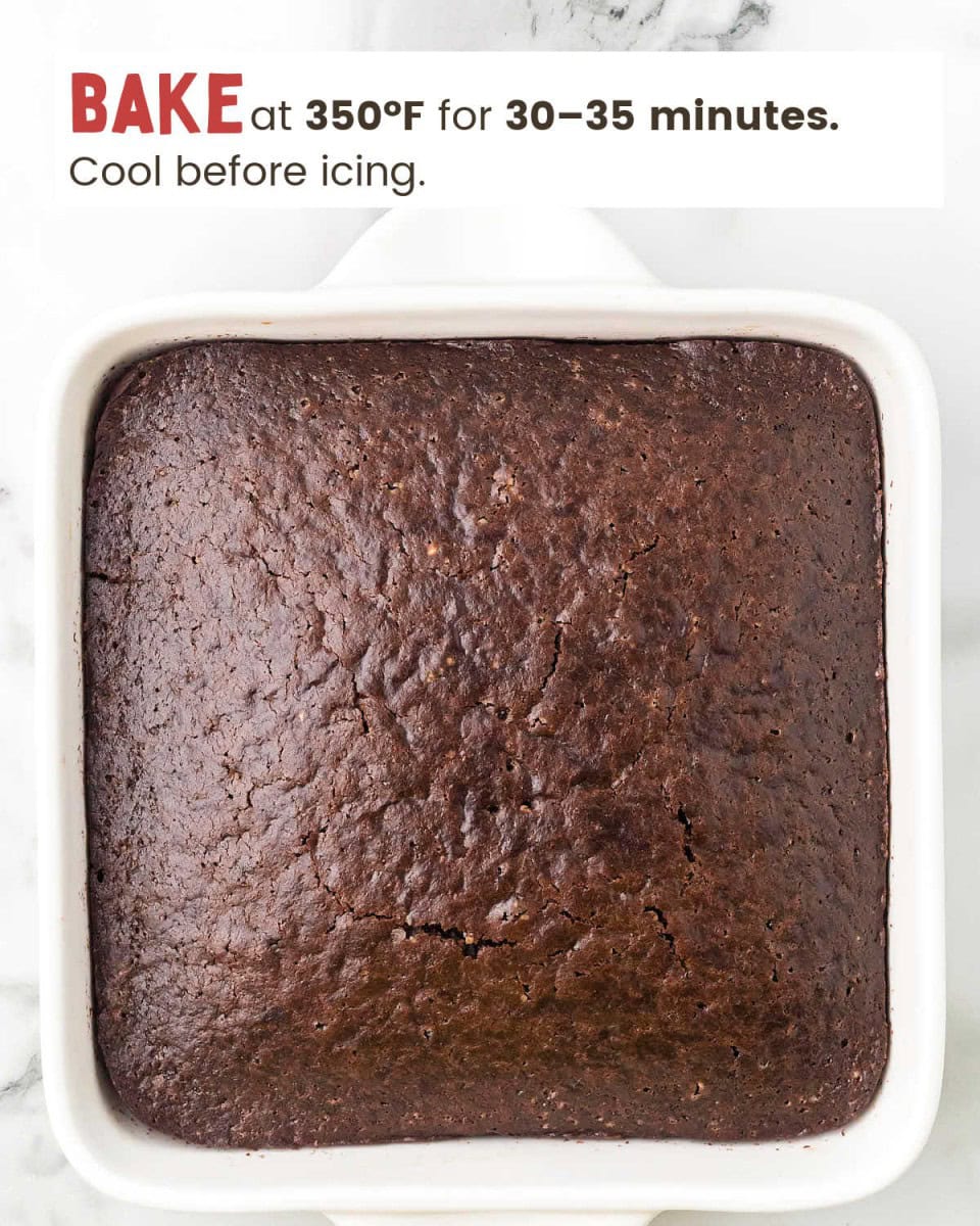 Old-Fashioned Depression Cake (Easy Recipe)