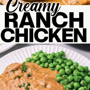 Creamy Ranch Chicken That Will Melt In Your Mouth.