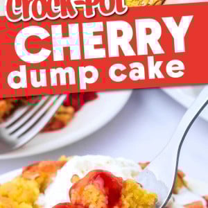 Crock Pot Cherry Dump Cake recipe by Cheerful Cook.