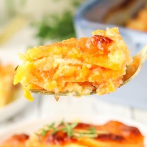A spoonful of Sweet Potato Gratin.
