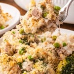 A forkful of Tuna Rice Casserole that's served on a white plate.