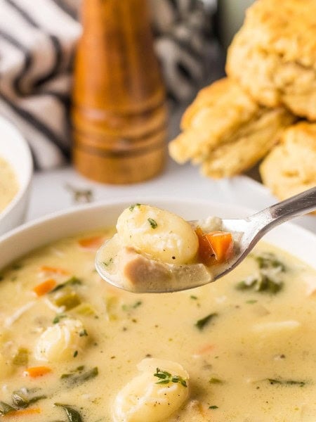 A spoonful of Chicken Gnocchi Soup.