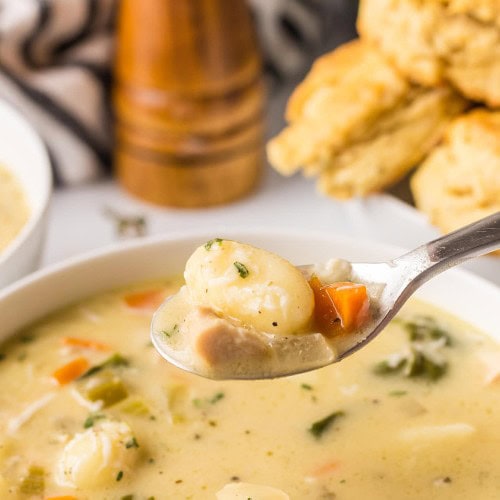 A spoonful of Chicken Gnocchi Soup.