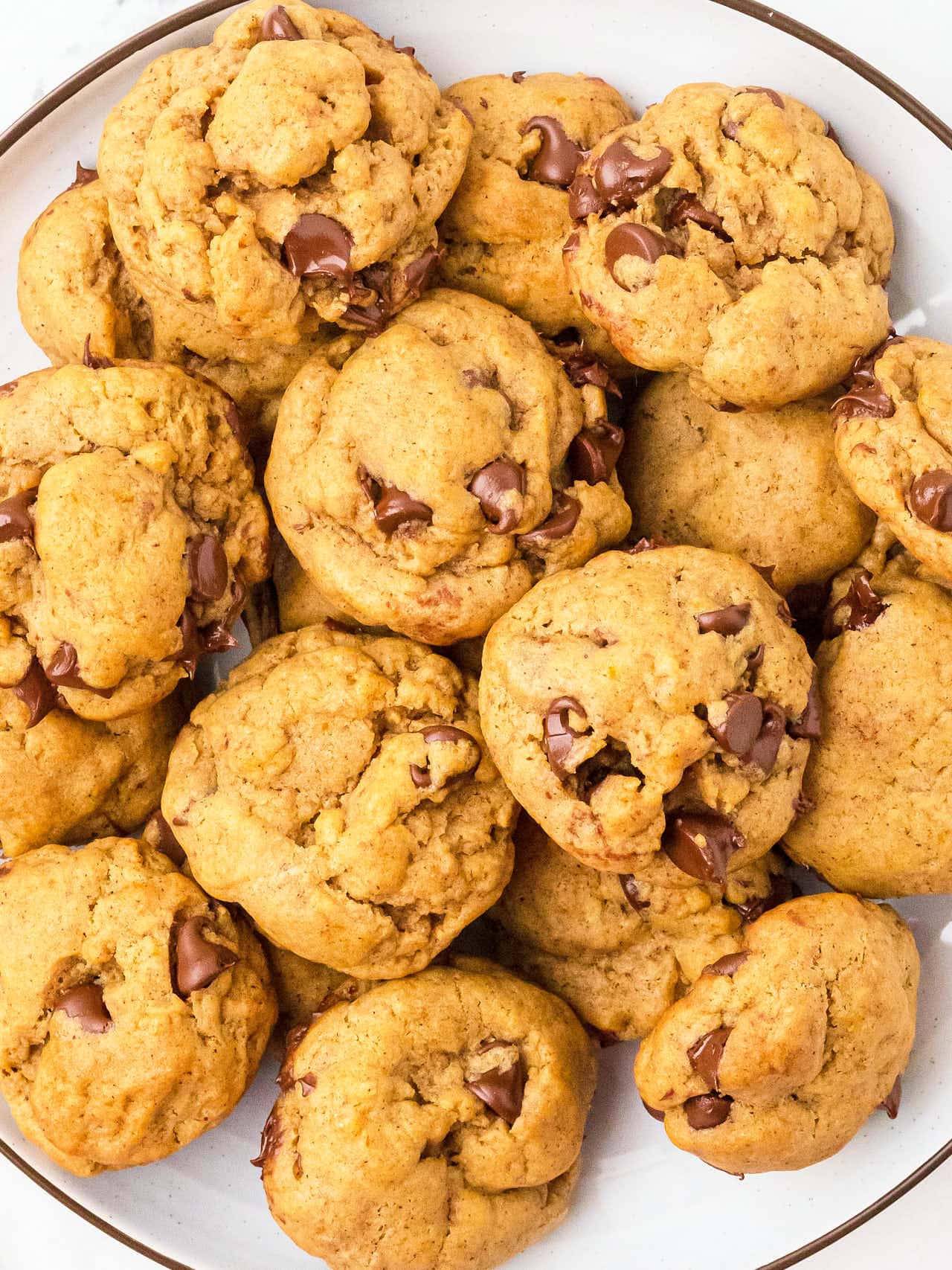 Chocolate Chip Pumpkin Cookies on a white plate.