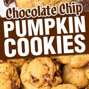 Chocolate Chip Pumpkin Cookies recipe by Cheerful Cook.