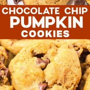 Chocolate Chip Pumpkin Cookies recipe by Cheerful Cook.