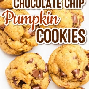 Chocolate Chip Pumpkin Cookies recipe by Cheerful Cook.