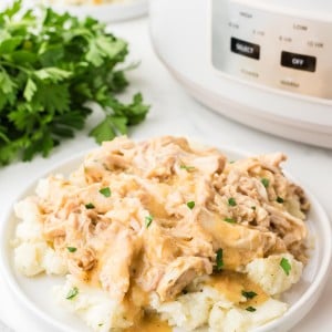 Chicken and Gravy served served over mashed potatoes on a white plate.