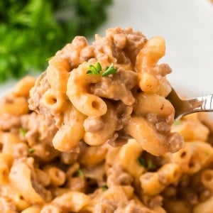 Closeup of a serving spoon filled with Hamburger Helper.